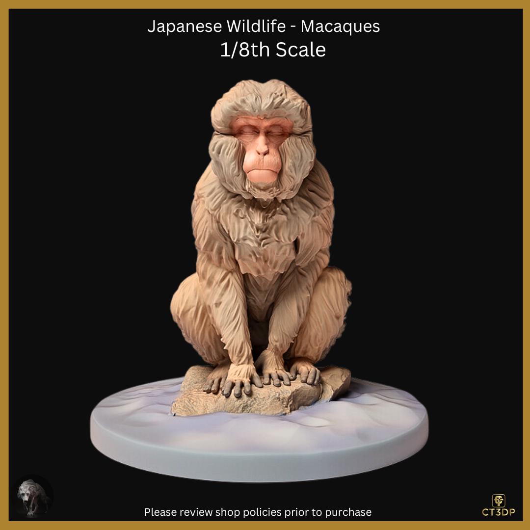 Japanese Wildlife Collection- The Macaque Walking and Chilling- full of mischief and fun. Chilling-monkey-macaque-wild-snow monkey