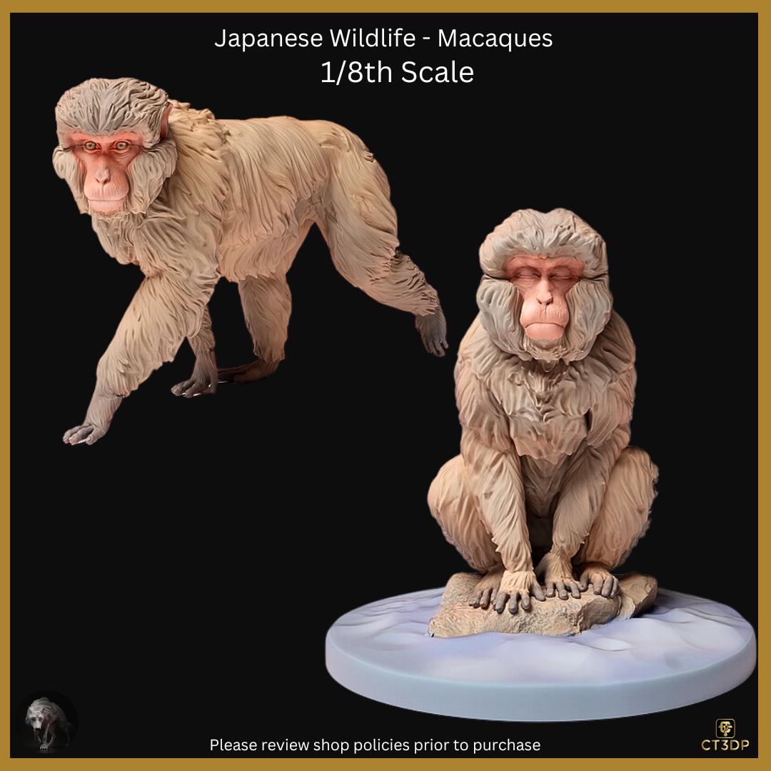Japanese Wildlife Collection- The Macaque Walking and Chilling- full of mischief and fun. Chilling-monkey-macaque-wild-snow monkey