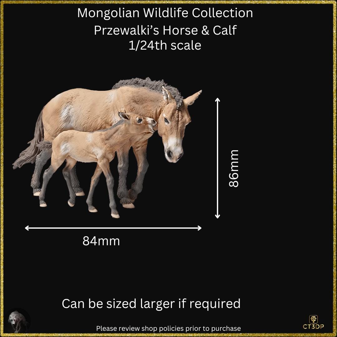 The Mongolian Wild Life Collection- Przewalski mare with Foal- Just a superb miniature