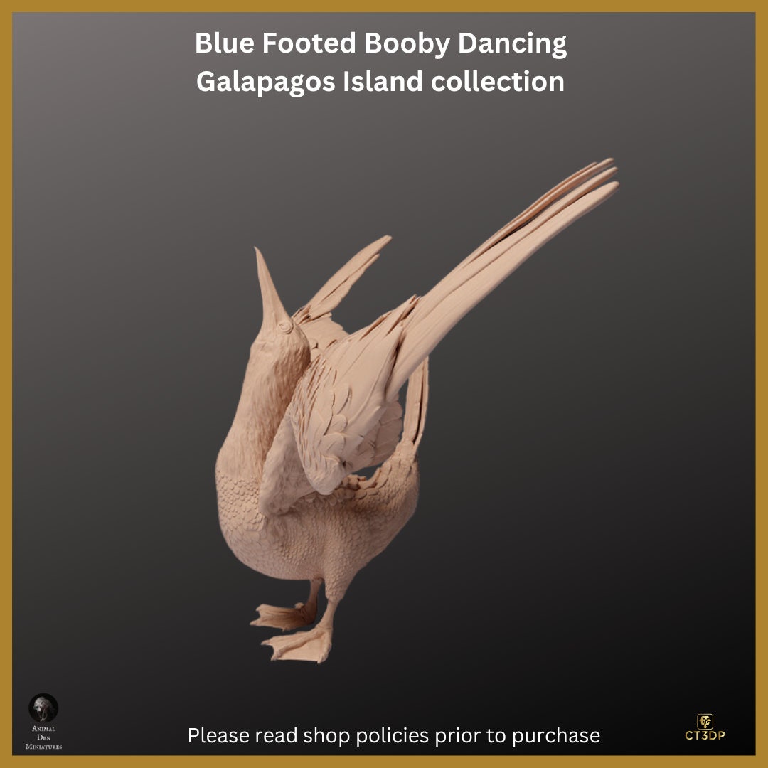 Blue Footed Booby Miniature: Galapagos Island Collection, Dancing Model