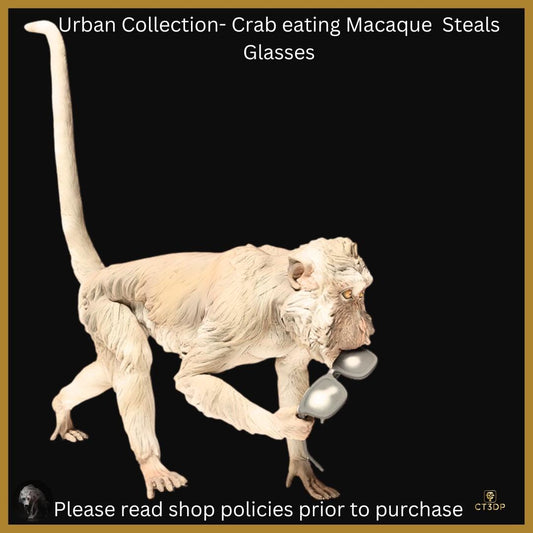 Macaque Monkey Stealing Glasses: 3D Resin Model (1/12 Scale)