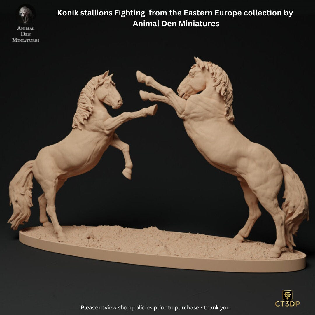 Konik Stallions Fighting from the Eastern Europe Collection by Animal Den Miniatures