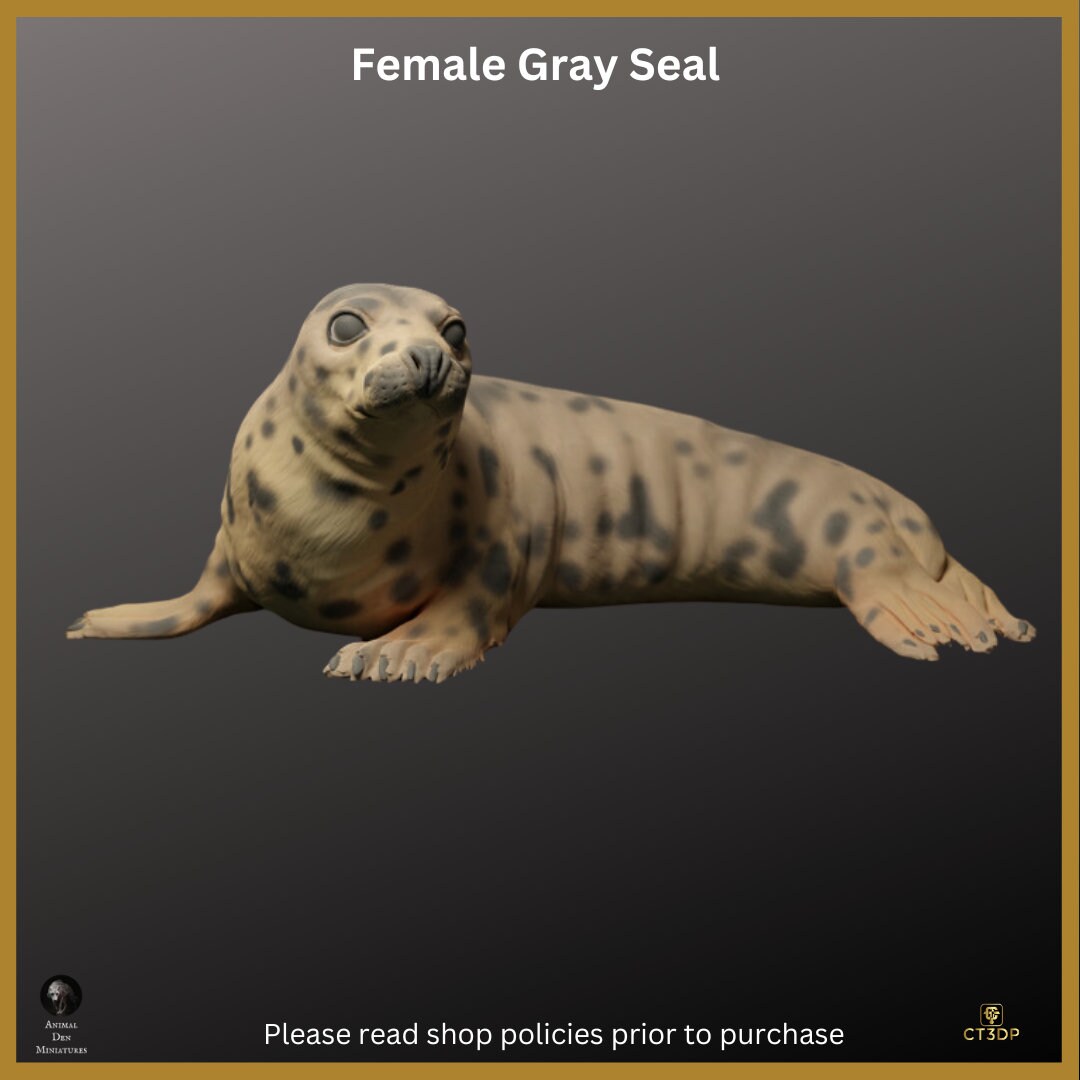 Female Grey Seal Miniature: Detailed Resin Print