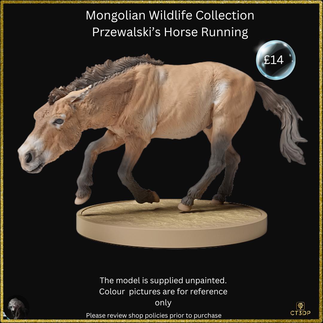 Mongolian Wildlife Collection- Przewalski horse on the run superbly detailed model