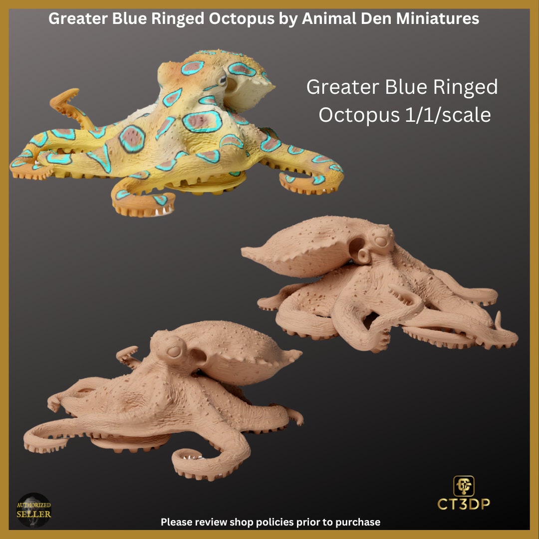 Great Barrier Reef Collection from Animal Den- Here is the Greater Blue Blue Ringed Octopus- superbly detailed- Octopus-Barrier reef-Ocean