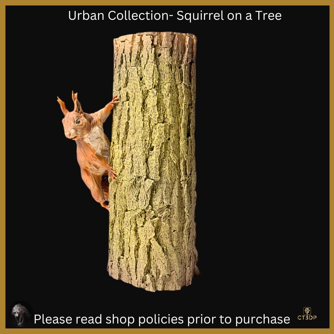Urban Animal collection: Red Squirrel on a tree - cheeky little fellas