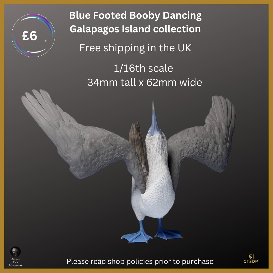 Blue Footed Booby Miniature: Galapagos Island Collection, Dancing Model