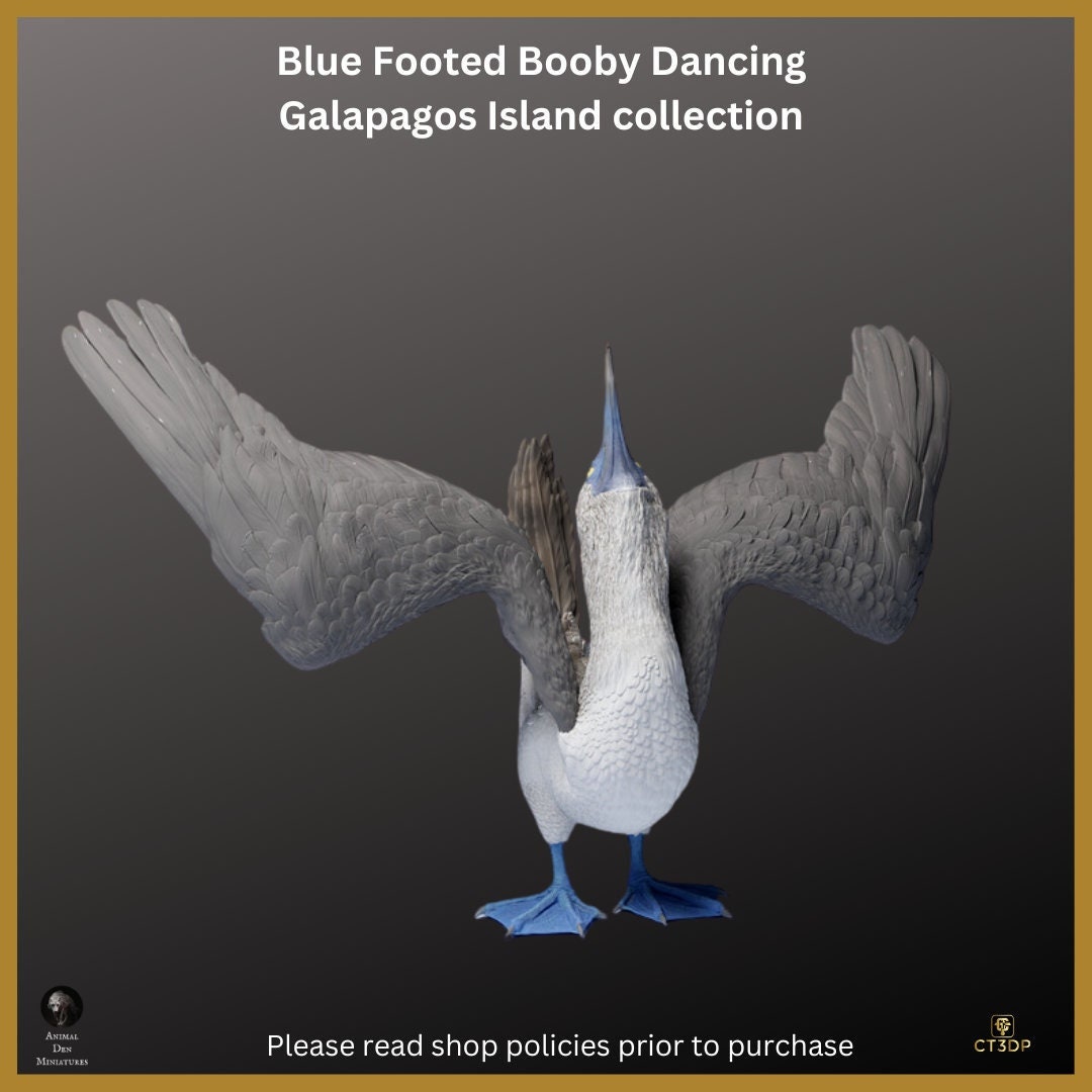 Blue Footed Booby Miniature: Galapagos Island Collection, Dancing Model