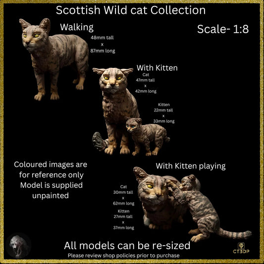 Collection of Scottish Wild Cat models with dimensions and scale information