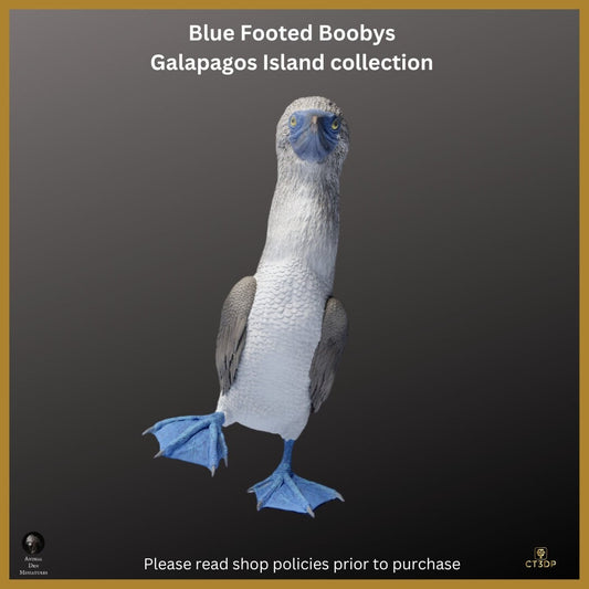 Blue Footed Booby Miniature: Galapagos Island Animal Model