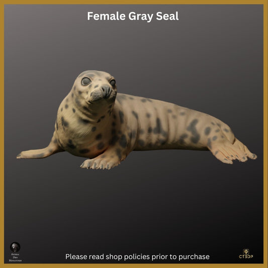 Female Grey Seal Miniature: Detailed Resin Print