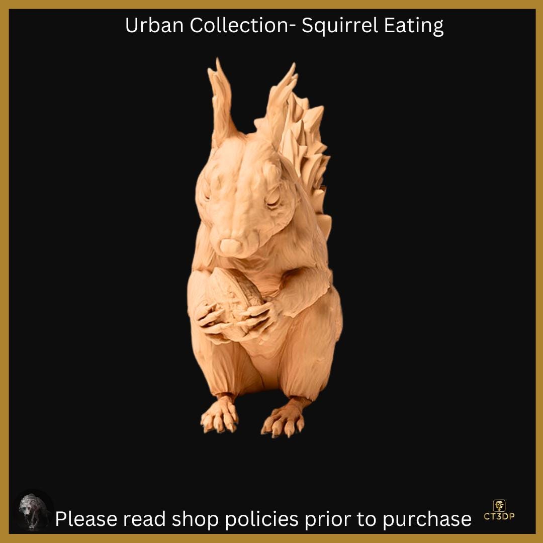 The Urban Collection: Red Squirrel Eating. Fun little guys that are truly very clever