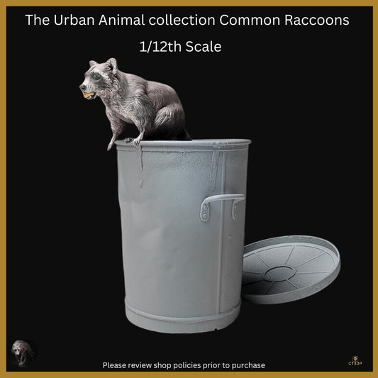 Urban Animal Collection- Raccoons - Cheeky little fellas