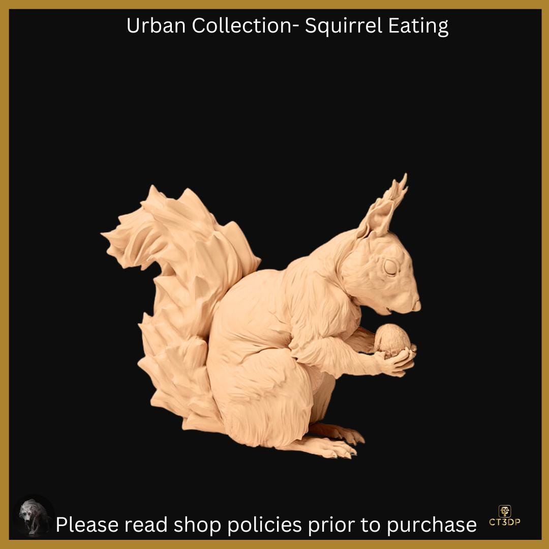 The Urban Collection: Red Squirrel Eating. Fun little guys that are truly very clever