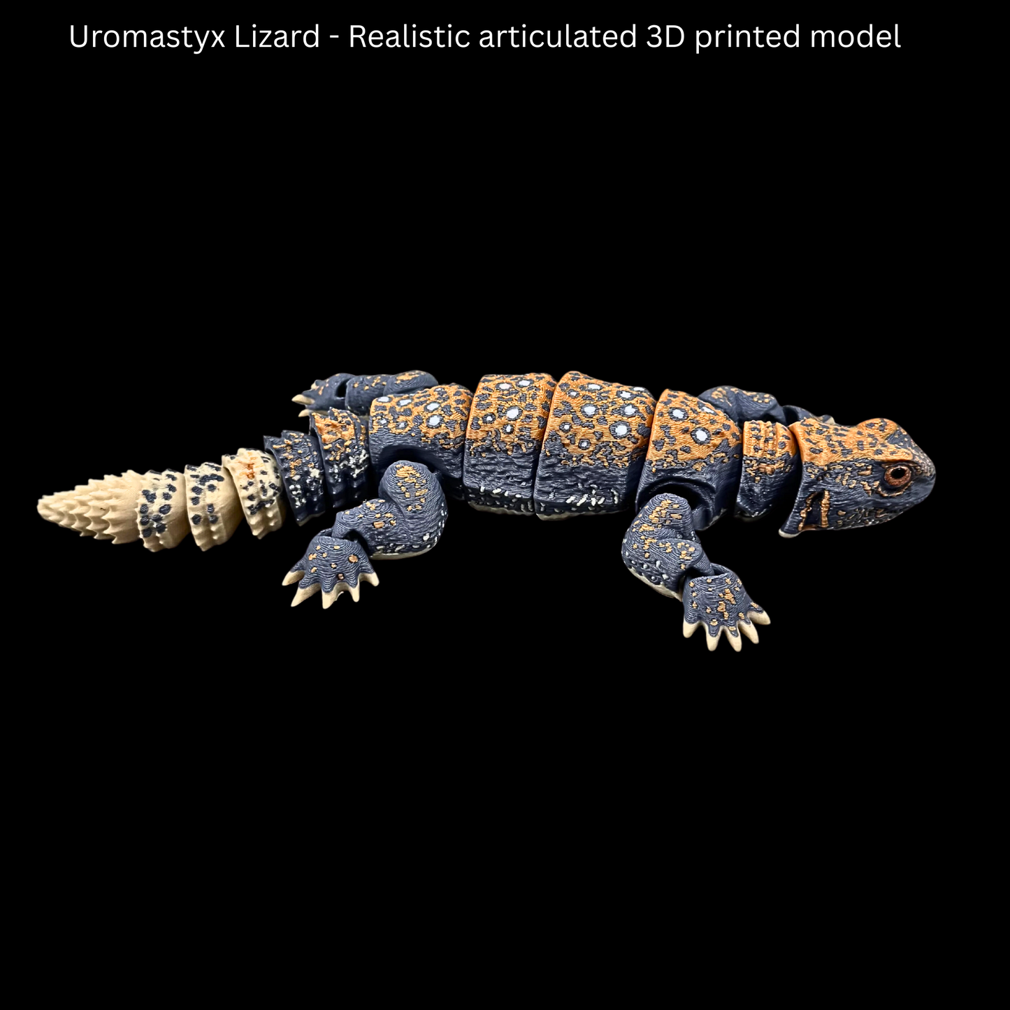 Realistic Filament Uromastyx Lizard
