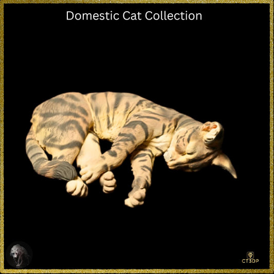 The Domestic Cat collection is now in store- Who doesn't love these mischievous little animals