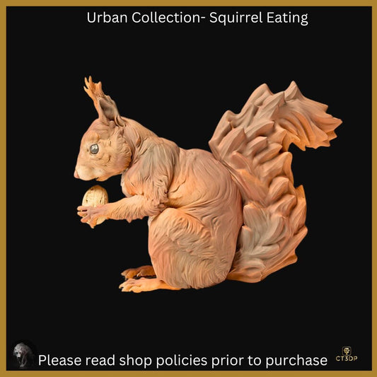 The Urban Collection: Red Squirrel Eating. Fun little guys that are truly very clever