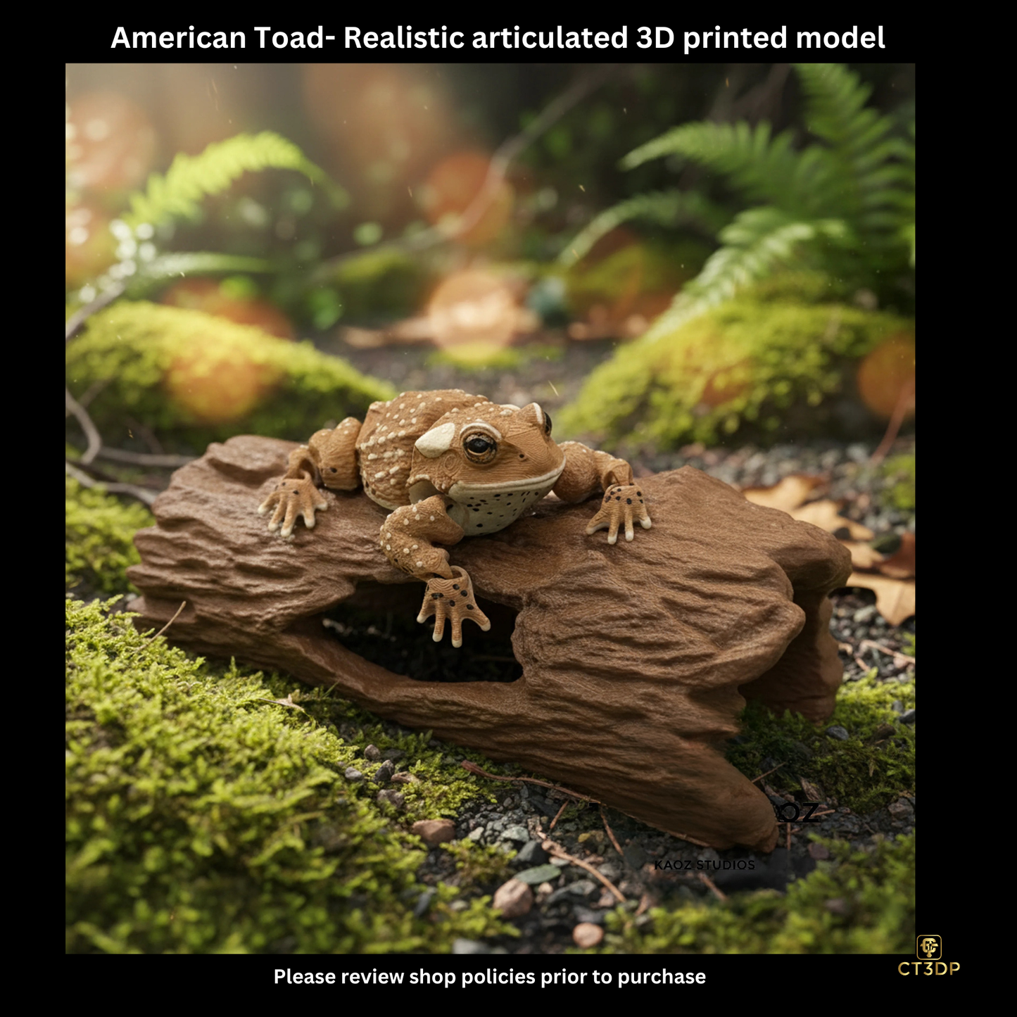 Realistic Filament American Toad