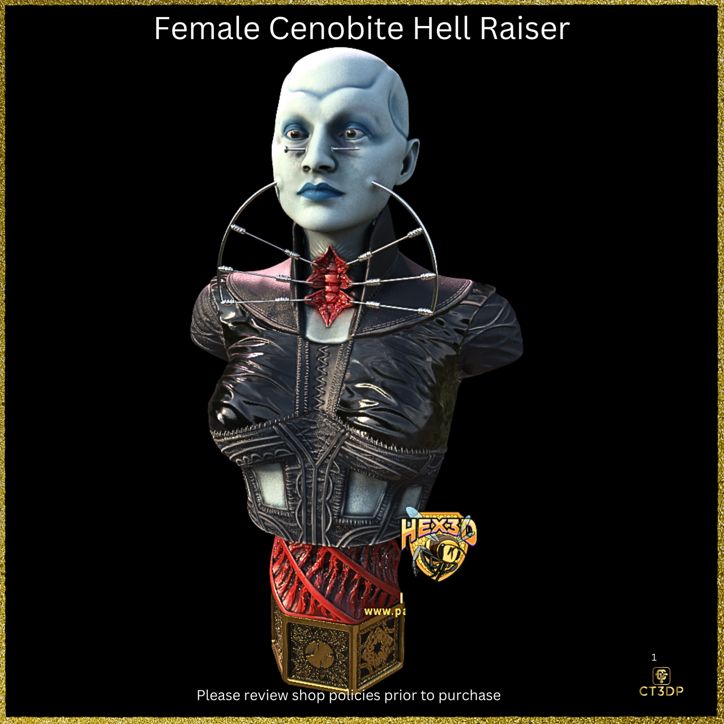 Fan Art Cenobite Female Hell Raiser