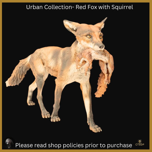 The Urban Collection: Red Fox with squirrel-cheeky-nocturnal-clever-intelligent
