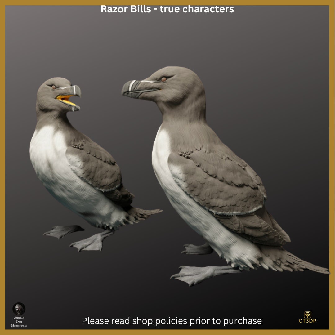 Razor Bills - Birds of real character - 1/8th scale