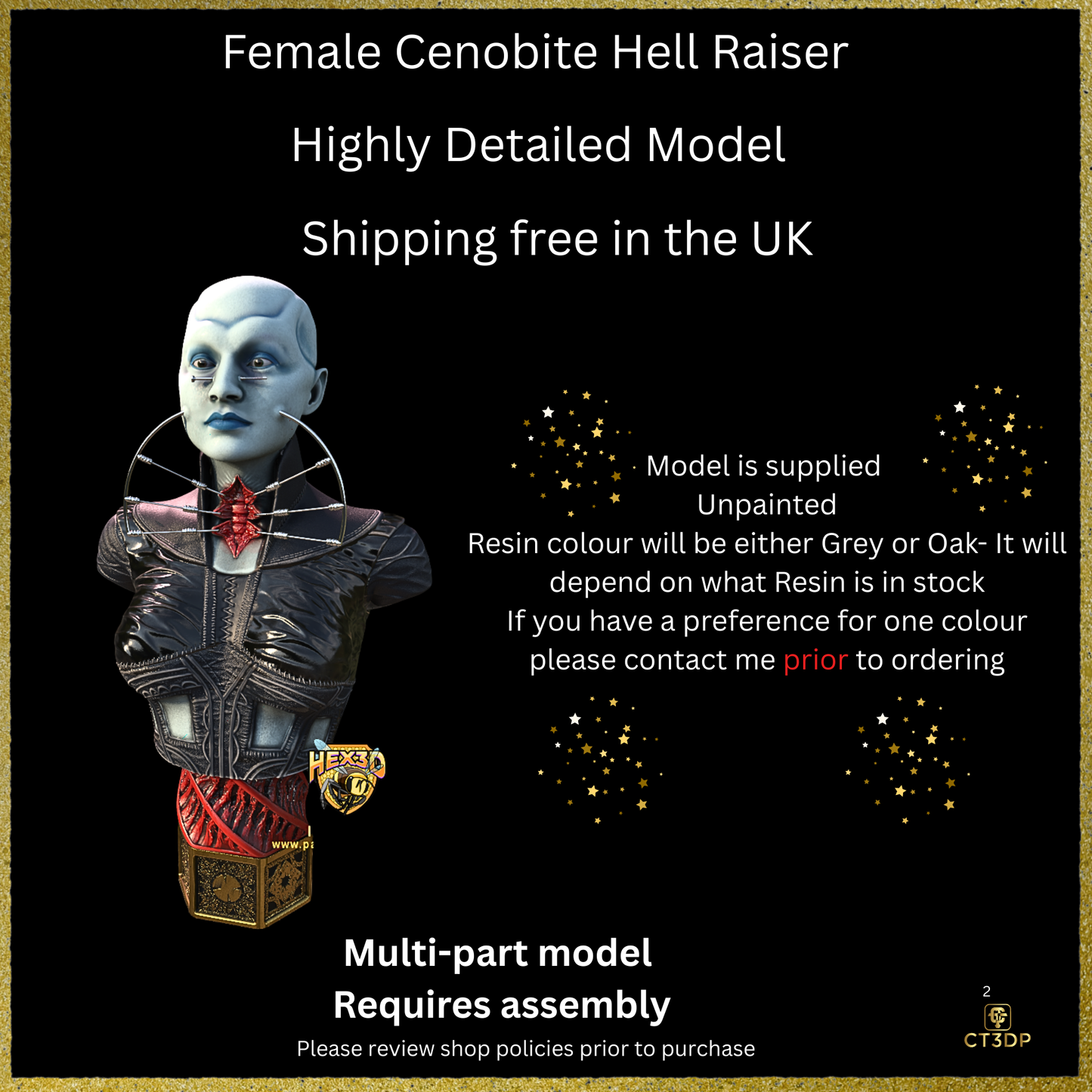 Fan Art Cenobite Female Hell Raiser