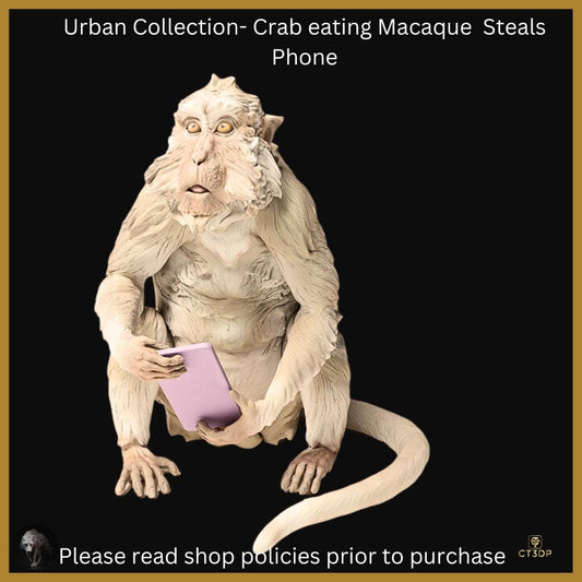 Urban Animal collection: Crab Eating Macaque steals phone - Fun model at 1/12th Scale