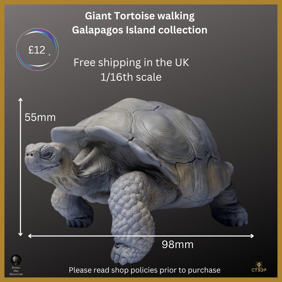 Galapagos Islands Collection - The Giant Tortoise Walking- Magnificent and ancient and Iconic