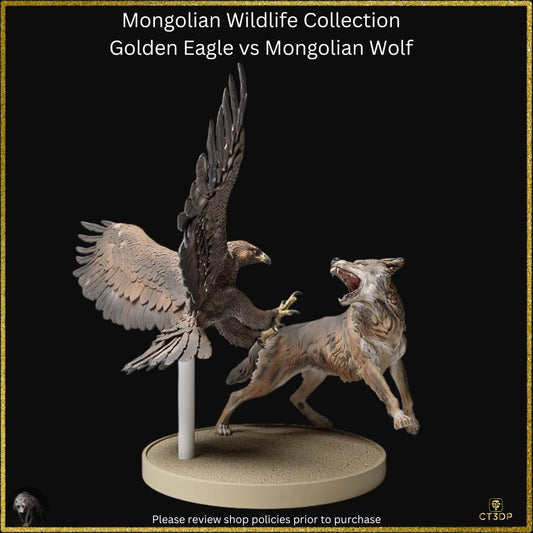 Golden eagle versus the Mongolian Wolf - dramatic scene from the Mongolian Wildlife collection