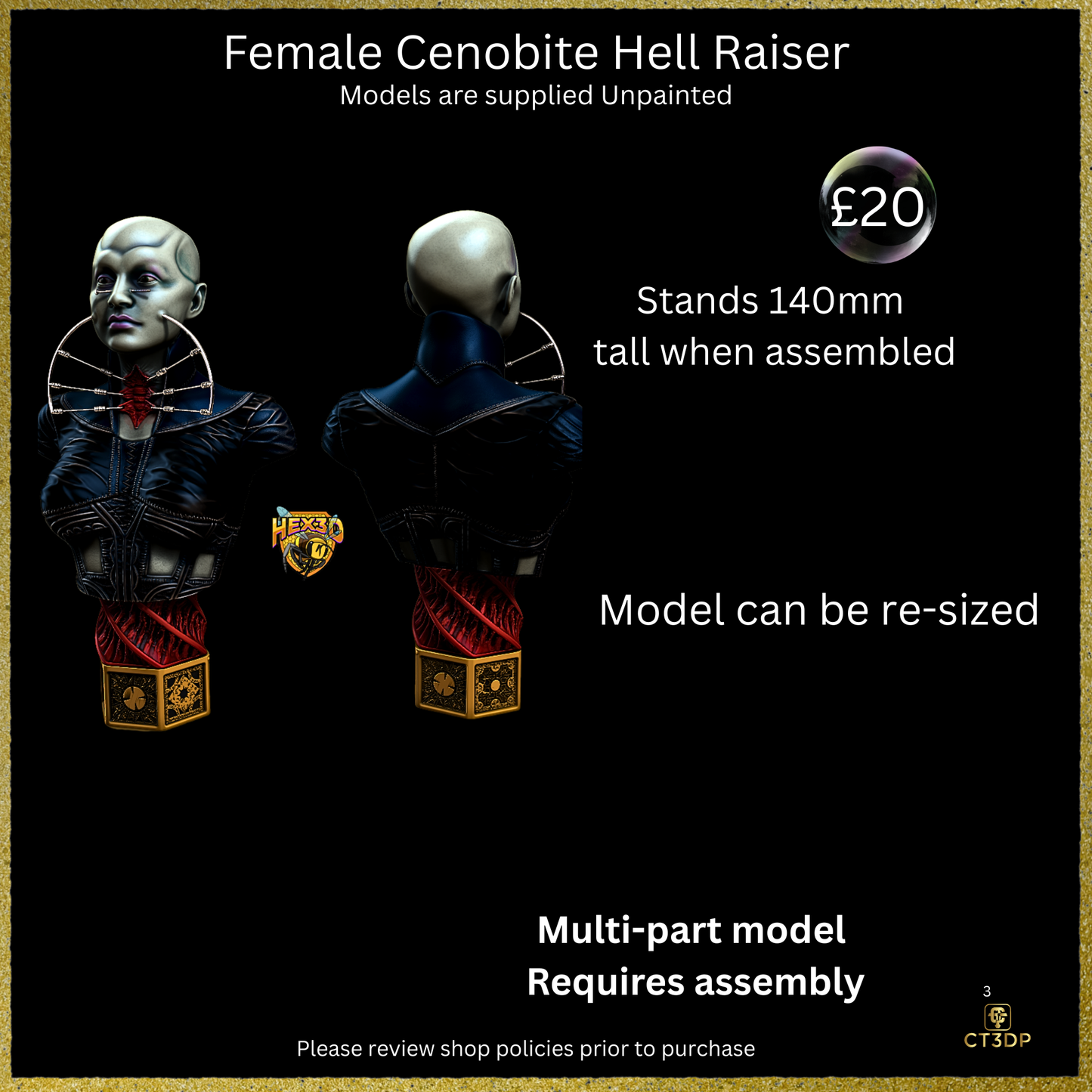 Fan Art Cenobite Female Hell Raiser