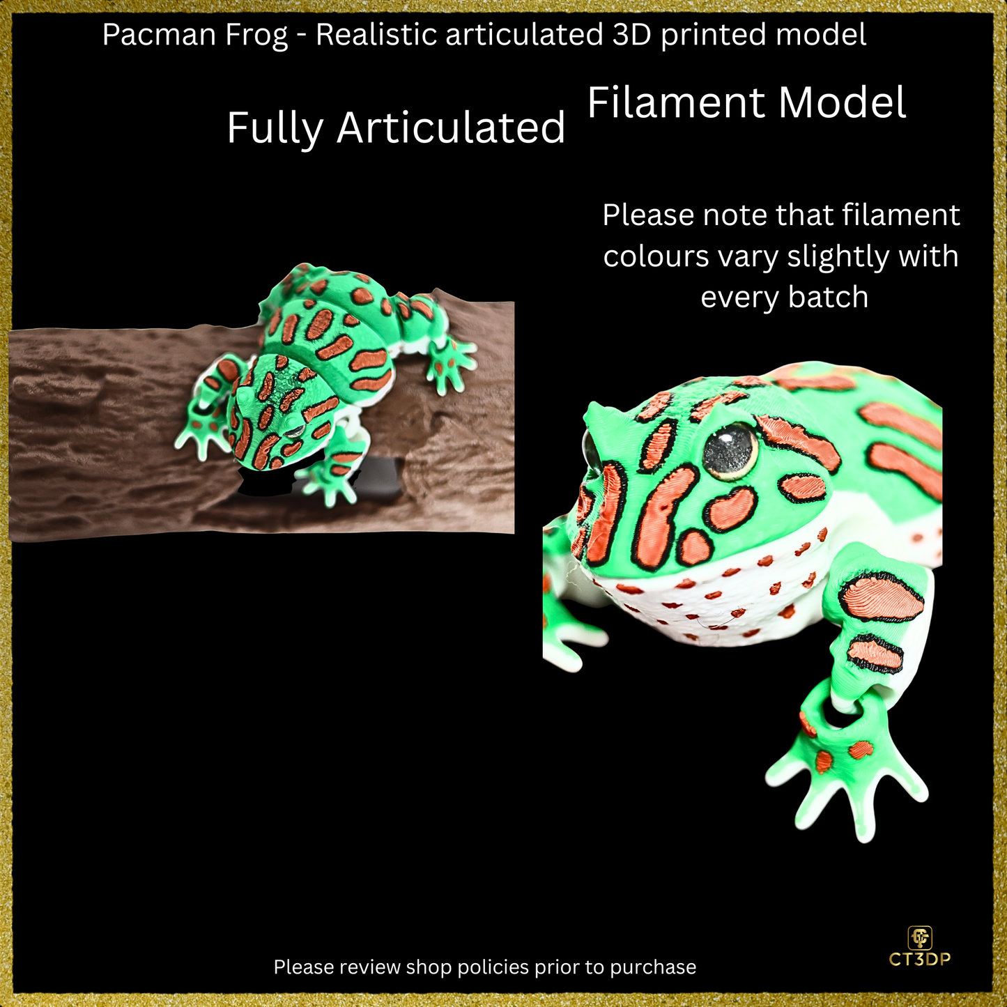 Realistic Filament Pac Man Tree Frog