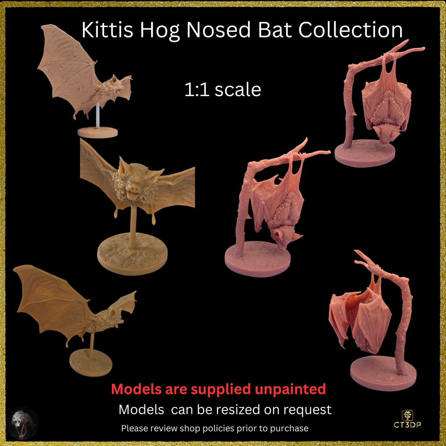 Kittis Hog-Nosed Bat Life-Sized 3D Resin Print