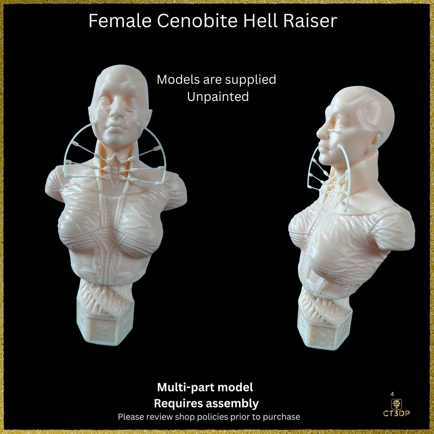 Fan Art Cenobite Female Hell Raiser