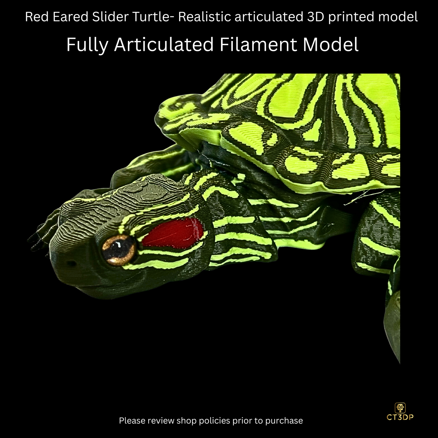 Realistic Filament Red Eared Slider Turtle