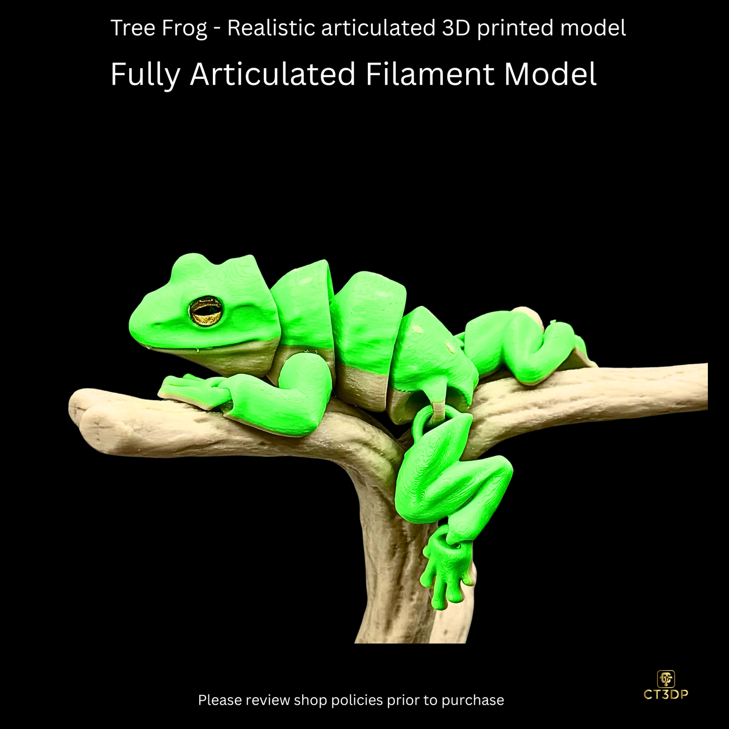 Realistic Filament Tree Frog
