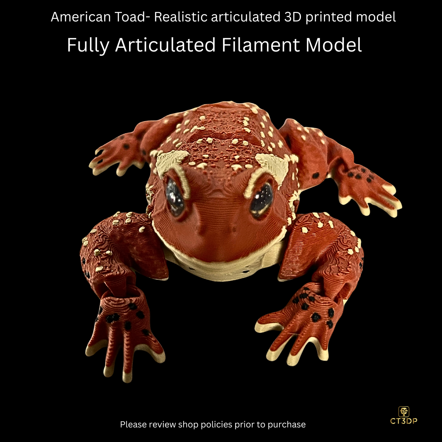 Realistic Filament American Toad