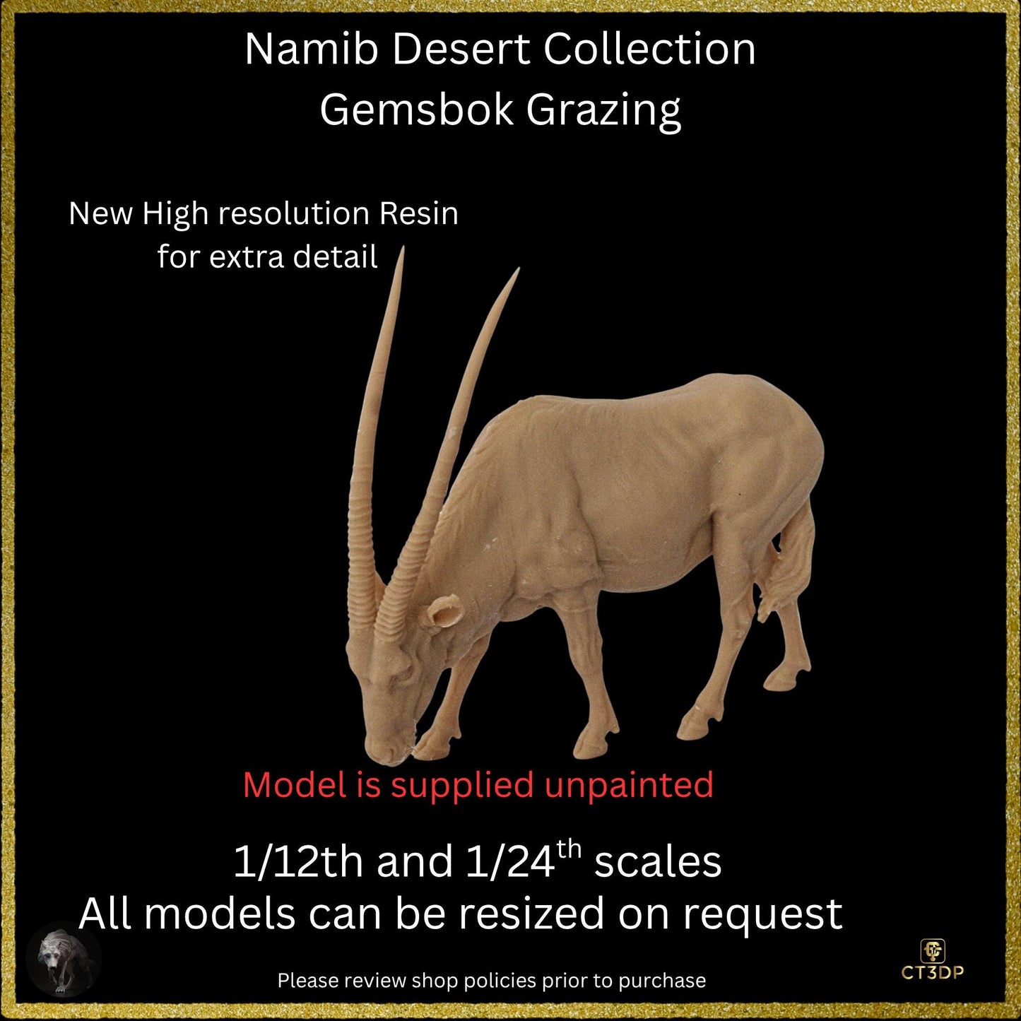 The Gemsbok from the Namib Desert Collection- Grazing