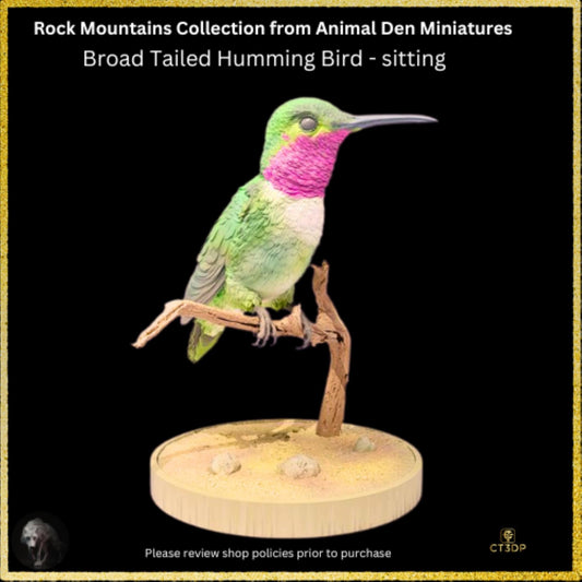 3D Printed Broad-Tailed Hummingbird Miniature - Animal Den Minis