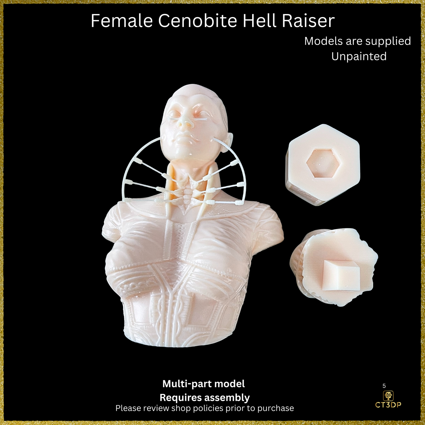Fan Art Cenobite Female Hell Raiser