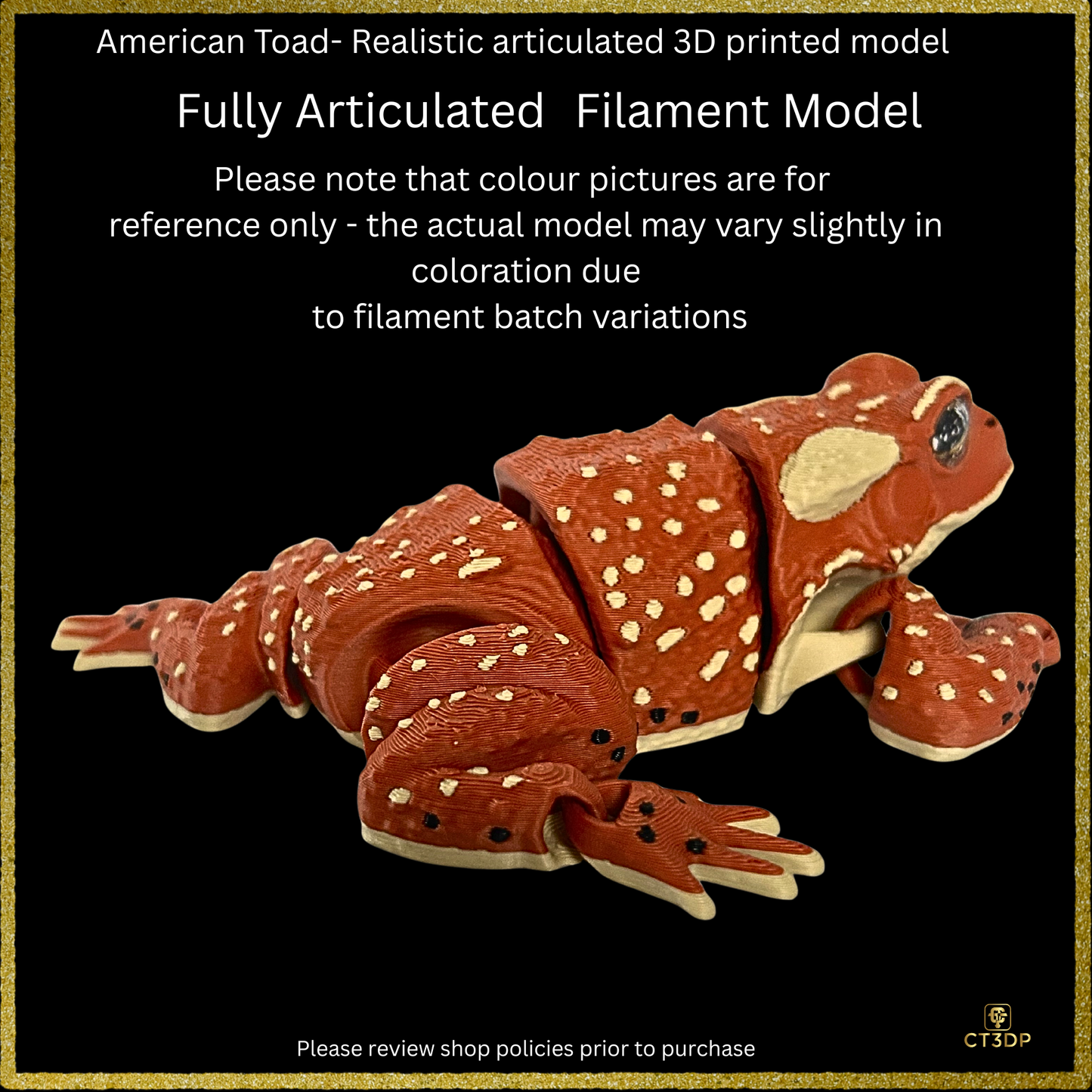 Realistic Filament American Toad