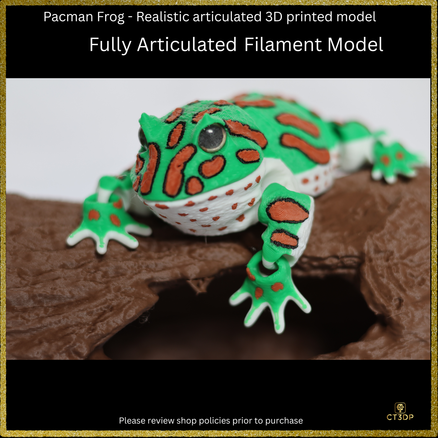 Realistic Filament Pac Man Tree Frog