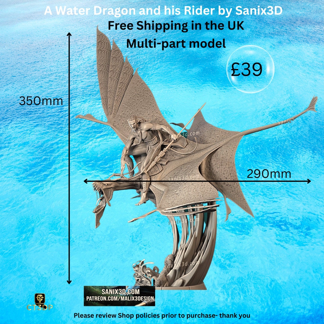 3D Printed Water Dragon and Rider Model by Sanix3D