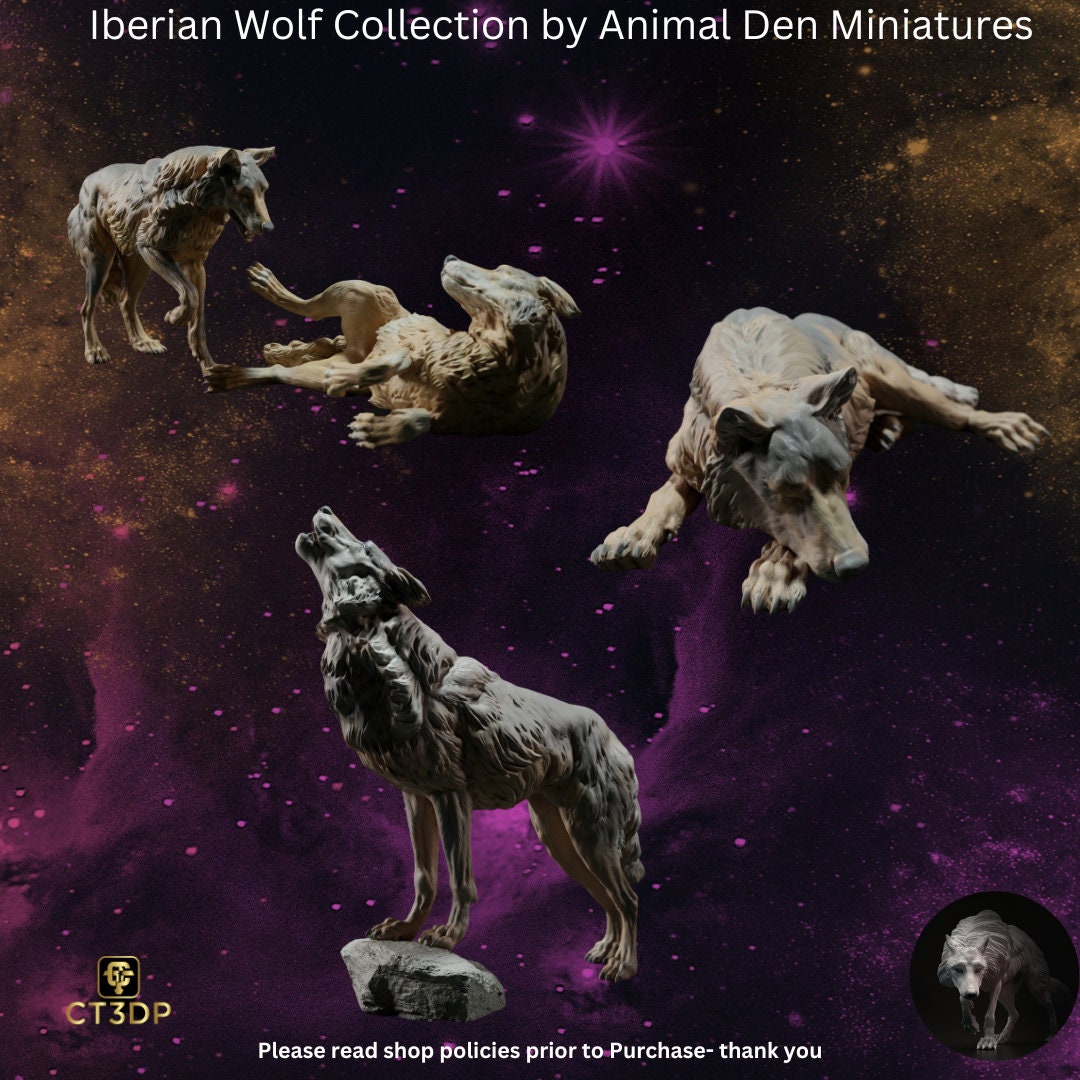 Iberian Wolf Miniature: 1/16th Scale Animal Den Collection