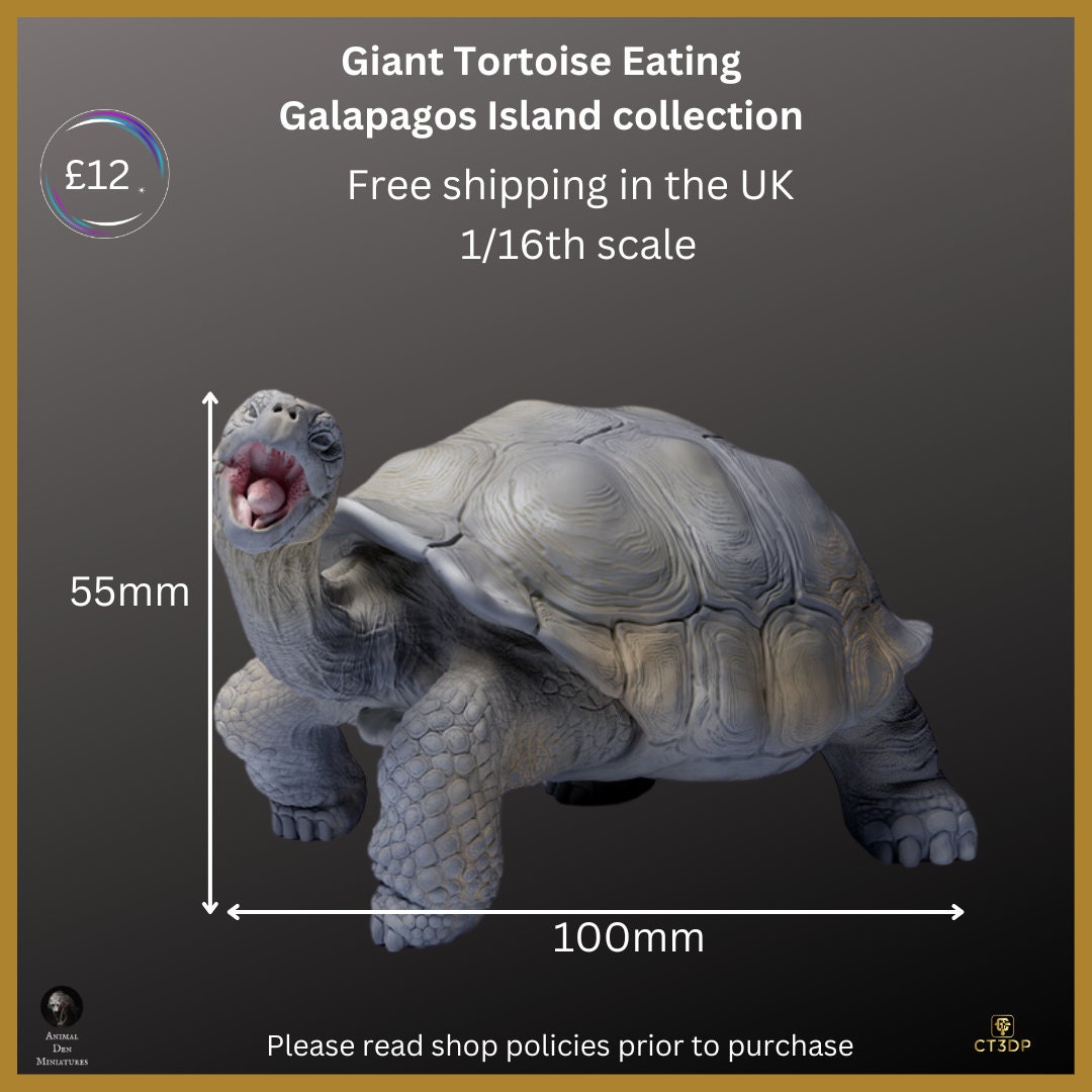 Galapagos Giant Tortoise Miniature: Ancient Reptile Model-Eating