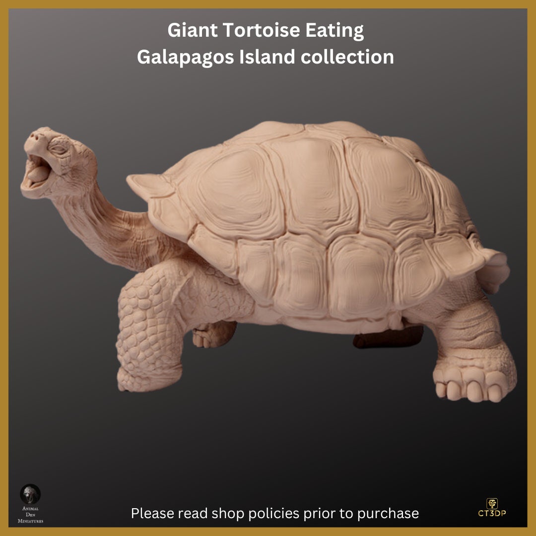 Galapagos Giant Tortoise Miniature: Ancient Reptile Model-Eating