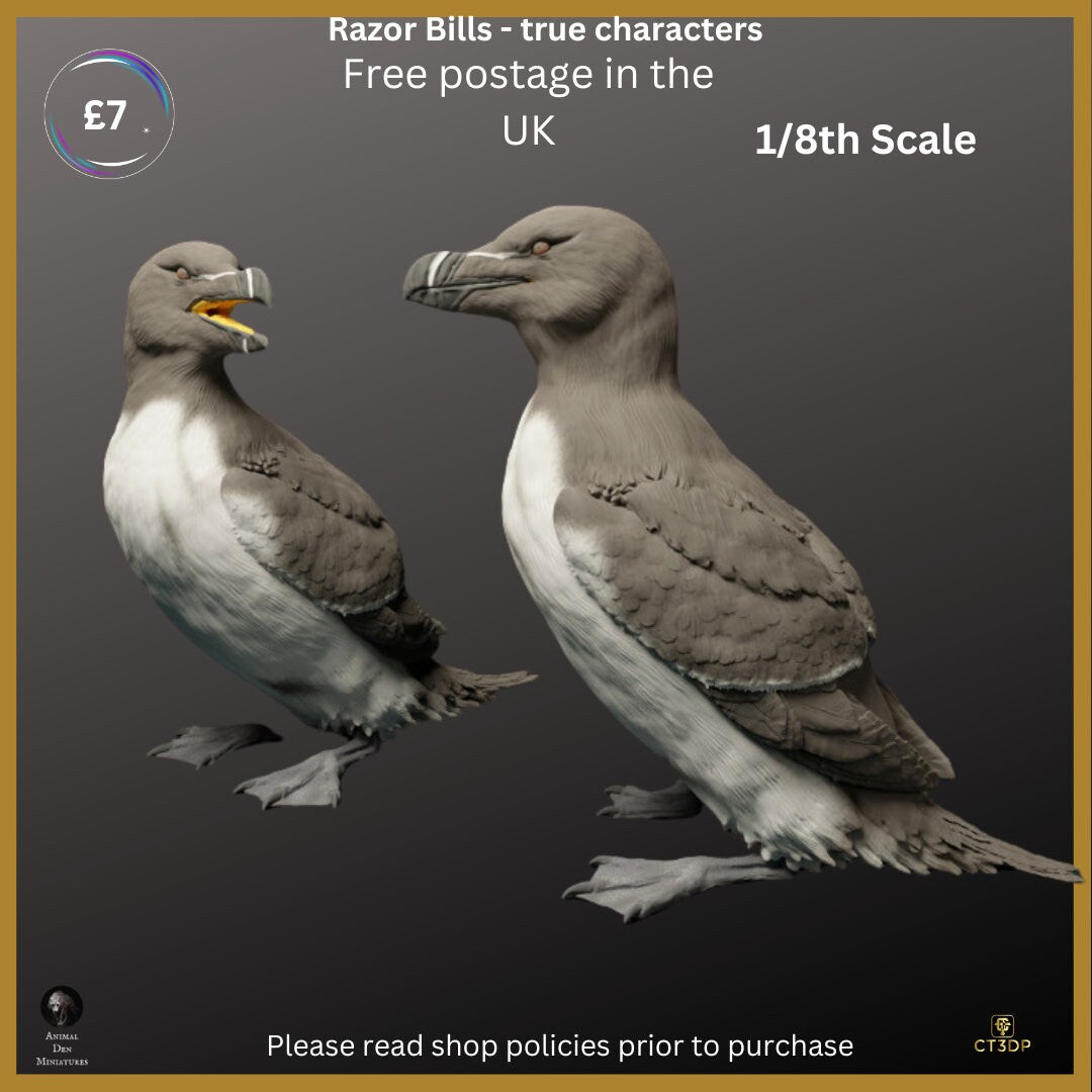 Razor Bills - Birds of real character - 1/8th scale
