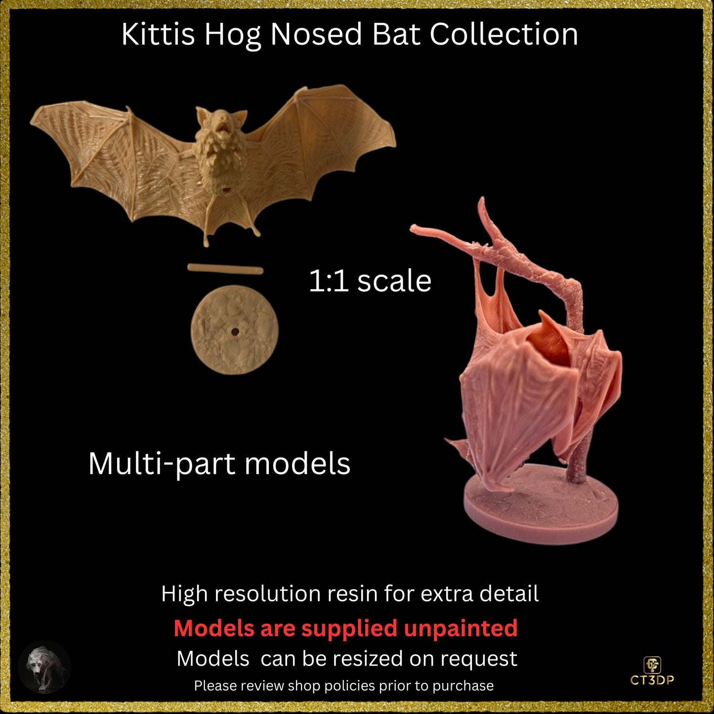 Kittis Hog-Nosed Bat Life-Sized 3D Resin Print