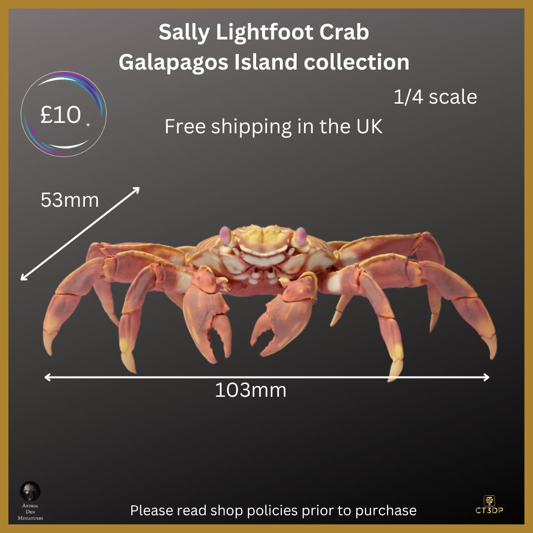 Galapagos Island Series- First up is the Sally Lightfoot Crab- Endearing and fun to watch