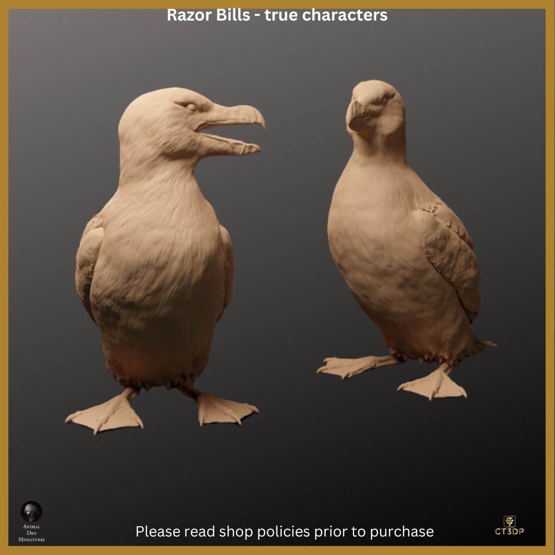 Razor Bills - Birds of real character - 1/8th scale