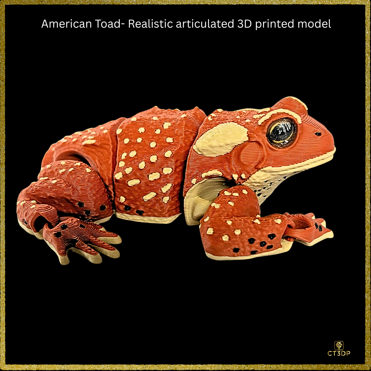 Realistic Filament American Toad